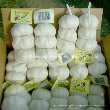 2015 New Season Fresh Vegetabls White Garlic
